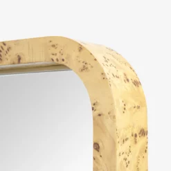 Clarissa Burl Mirror -US Home Decoration Sales Store ClarissaBurlMirror MMIR0337 BRL S D3 T