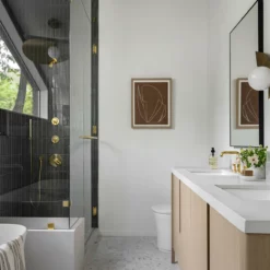 Contour Study I -US Home Decoration Sales Store Connor Cindy Templated 10