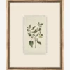 Delicate Floral Lll -US Home Decoration Sales Store DelicateFloralIIl MART1704 GRN 16x20 F MAIN T