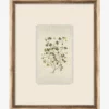 Delicate Floral Ll -US Home Decoration Sales Store DelicateFloralll MART1703 GRN 16x20 F MAIN T