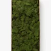 Dried Reindeer Moss -US Home Decoration Sales Store DriedReindeerMoss MDCR2664 GRN OS MAIN