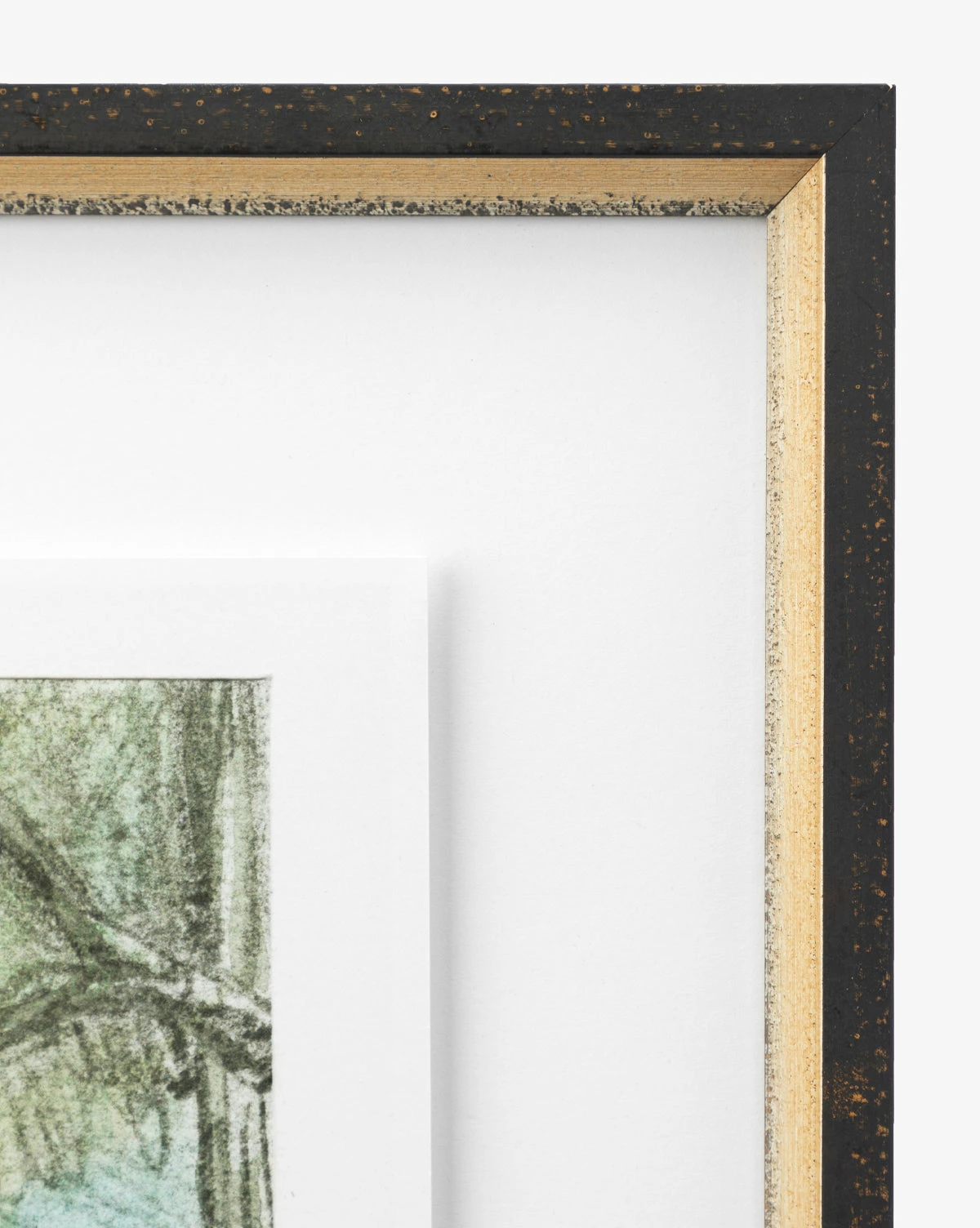 Eucalyptus Windows 4 Eucalyptus Windows - Image 2