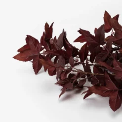 Faux Maple Leaf Stem 9 Faux Maple Leaf Stem -US Home Decoration Sales Store FauxMapleLeafStem MDCR2726 PUR OS D1 T