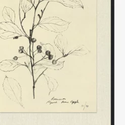 Floral Study 2 -US Home Decoration Sales Store FloralStudy2 D1