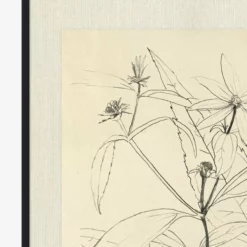 Floral Study 3 11 Floral Study 3 -US Home Decoration Sales Store FloralStudy3 D1