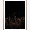 Flowers On Black Background -US Home Decoration Sales Store FlowersonBlackBackground MART1289 BLK 30x40 F MAIN