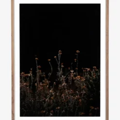 Flowers On Black Background