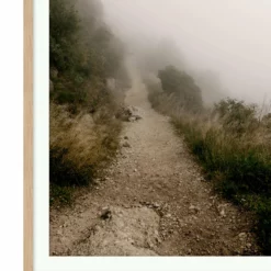 Foggy Path -US Home Decoration Sales Store FoggyPathD1