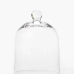 Glass Cloche