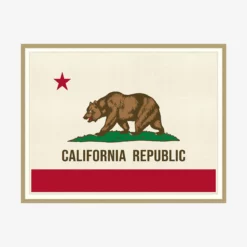 California Flag