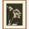 Floral Etching -US Home Decoration Sales Store MART1463 BAW 17x20 F MAIN