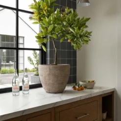 Textured Concrete Pot -US Home Decoration Sales Store Mishurda Batch4 8