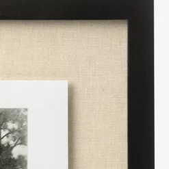 Muted Florida Pines -US Home Decoration Sales Store MutedFloridaPines MART1575 BAW 24x18 F D1 T 0dd9c5f3 f624 41d7 ae52 3f2aece243e0