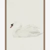 Neutral Swan -US Home Decoration Sales Store NeutralSwan MART1398 CRM 23x31 F MAIN T 1644929a 405e 4192 ac3b 65a3a525876f
