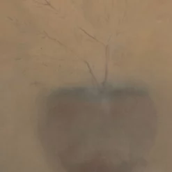 Olive Tree Silhouette -US Home Decoration Sales Store OliveTreeSilhouette MART1506 MLT 30x40 F D3