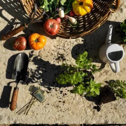 Gardening Cultivator -US Home Decoration Sales Store Outdoor Templated 13 3b0c64c7 9f01 4d76 9bda cb1f9d0b53d8