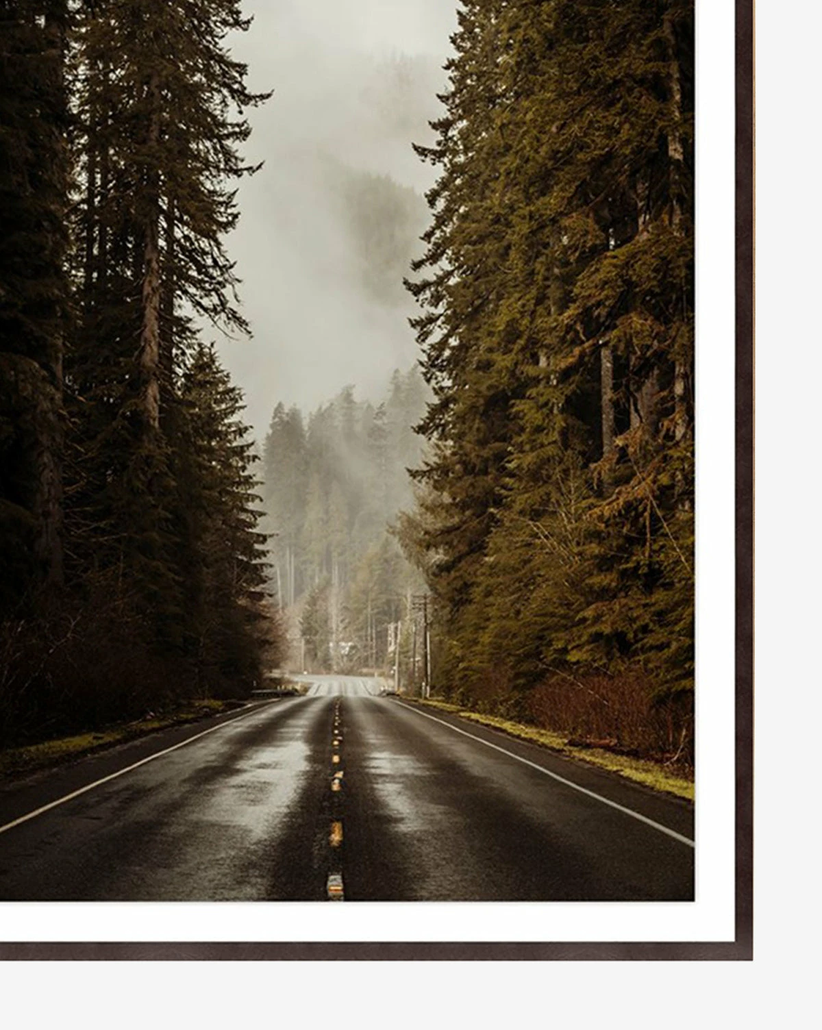 Path Less Traveled 4 Path Less Traveled - Image 2