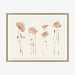 Pink Blooming Flowers