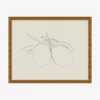 Sketched Fruit I 1 Sketched Fruit I -US Home Decoration Sales Store SketchedFruitI