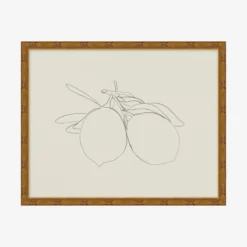 Sketched Fruit I