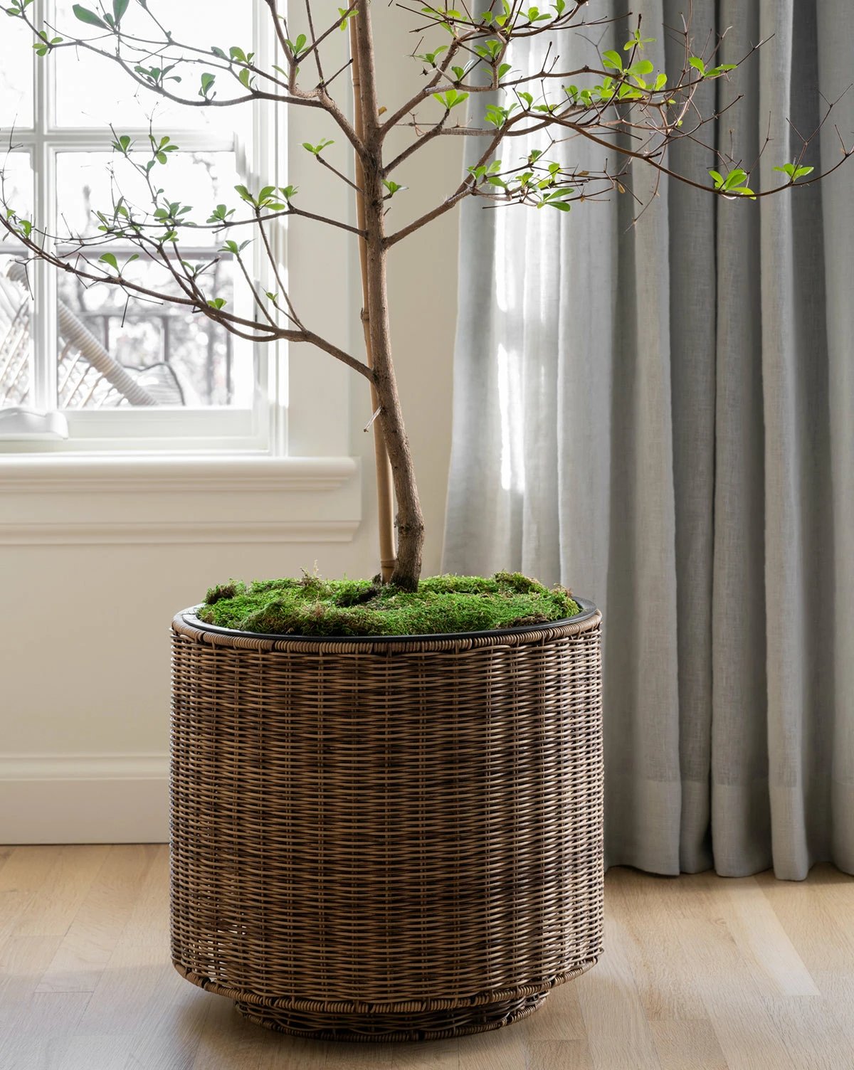 Marina Outdoor Planter 4 Marina Outdoor Planter - Image 2