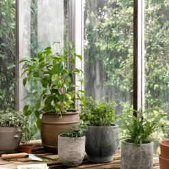 Golden Cement Pot -US Home Decoration Sales Store Styled Outdoor 29 630705ed b697 427b 827b fe55964e327b