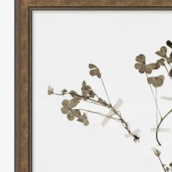 Subdued Botanicals I -US Home Decoration Sales Store SubduedBotanicalsI MART1120 BWN 20x24 F D1