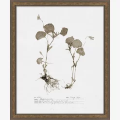 Subdued Botanicals II