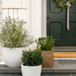 Handled Planter Basket -US Home Decoration Sales Store Summer Catalogue 88 433d71f9 8048 4f3a b9d7 ca17d6180a18