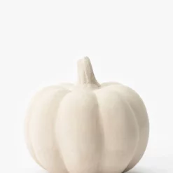 White Paper Mache Pumpkin 11 White Paper Mache Pumpkin -US Home Decoration Sales Store WhitePaperMachePumpkin MDCR2768 WHT L T 7da76fb9 65b7 4e5a bf07 a61a4febd33e