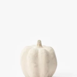 White Paper Mache Pumpkin 9 White Paper Mache Pumpkin -US Home Decoration Sales Store WhitePaperMachePumpkin MDCR2768 WHT S T bc67c8b2 fa99 4ae9 9da1 b7f5150f83a3