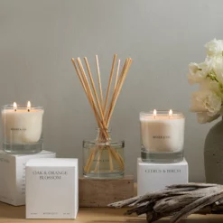 Citrus & Birch Candle -US Home Decoration Sales Store fragrance templated