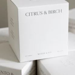 Citrus & Birch Candle -US Home Decoration Sales Store fragrance templated 8