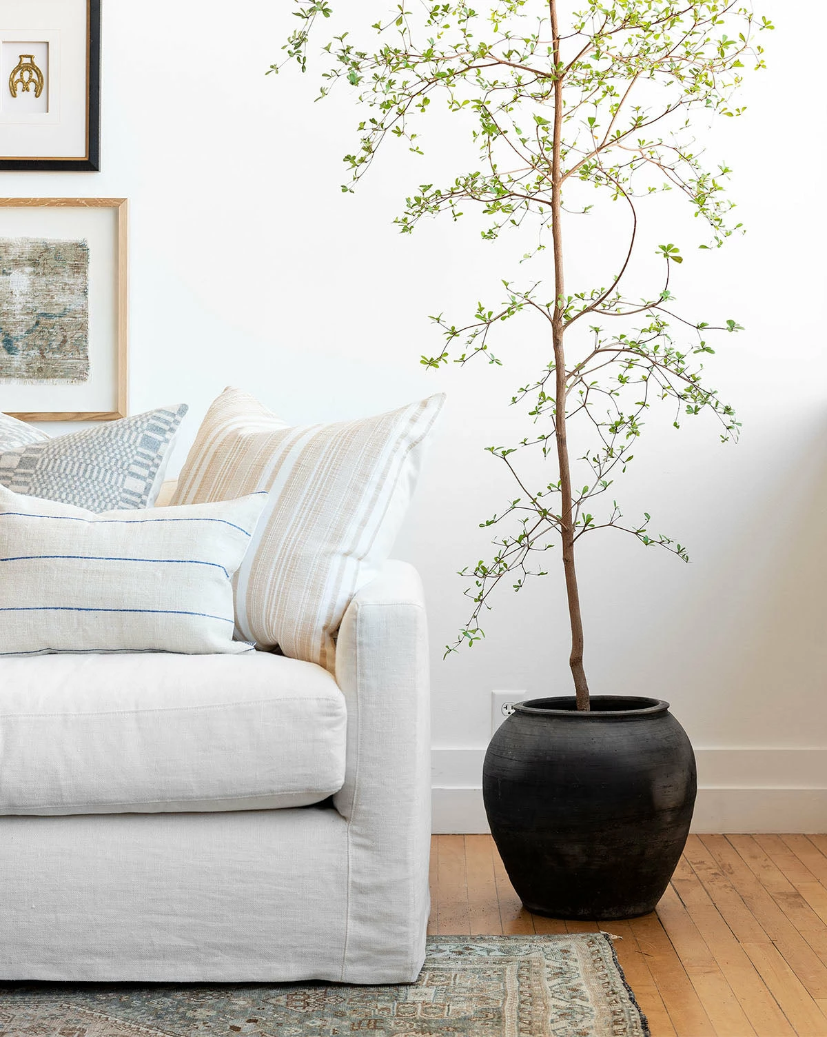 Brushed Charcoal Vase 6 Brushed Charcoal Vase - Image 4